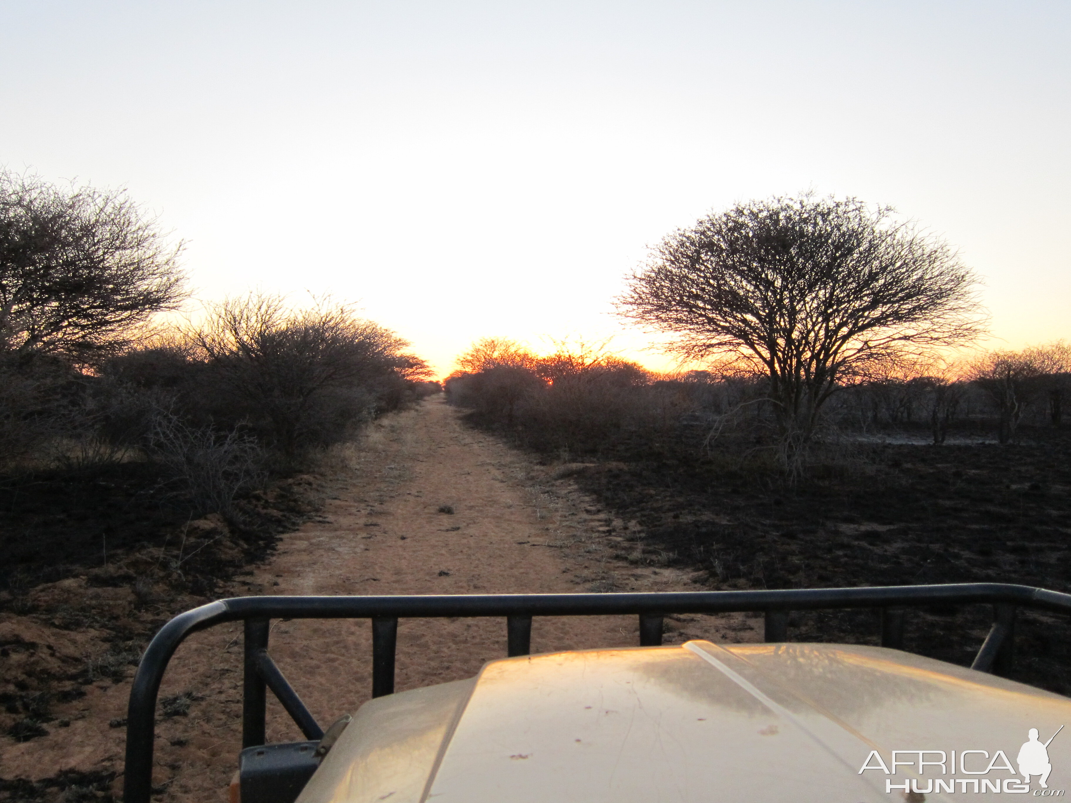 Controlled Bush Fire Namibia