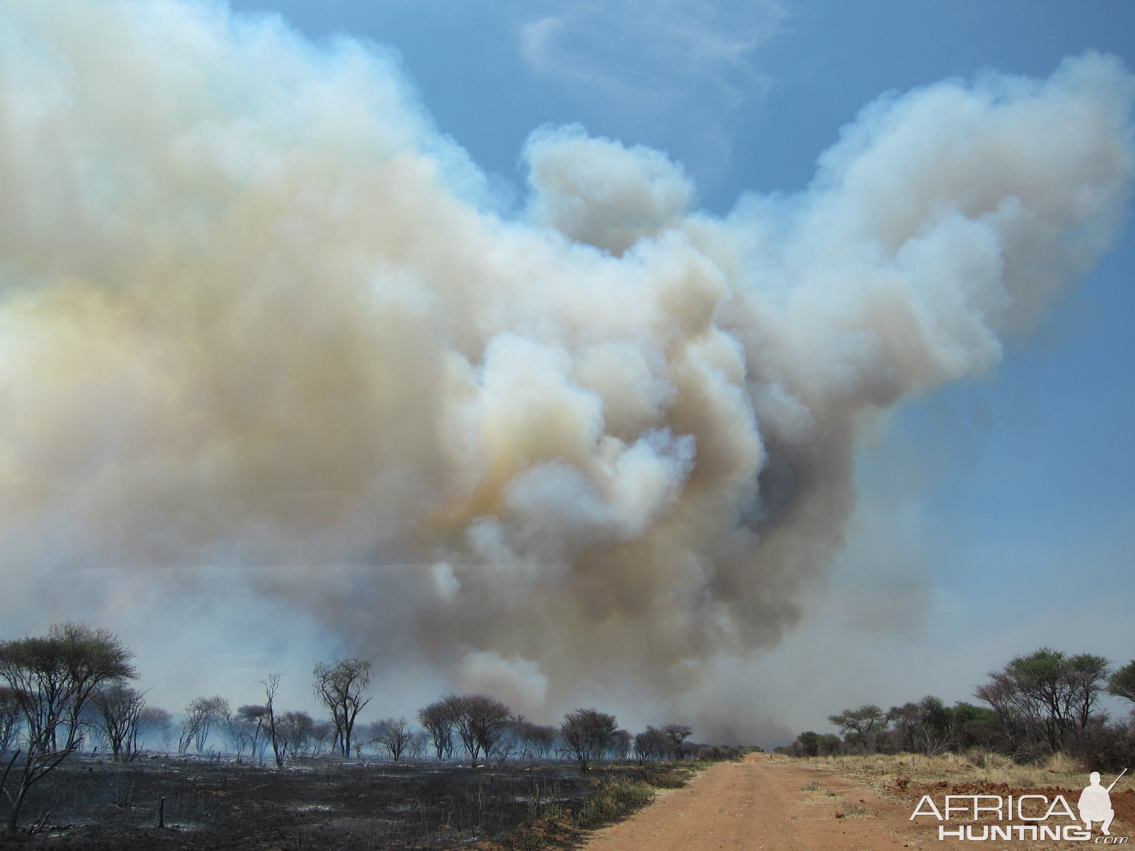 Controlled Bush Fire Namibia