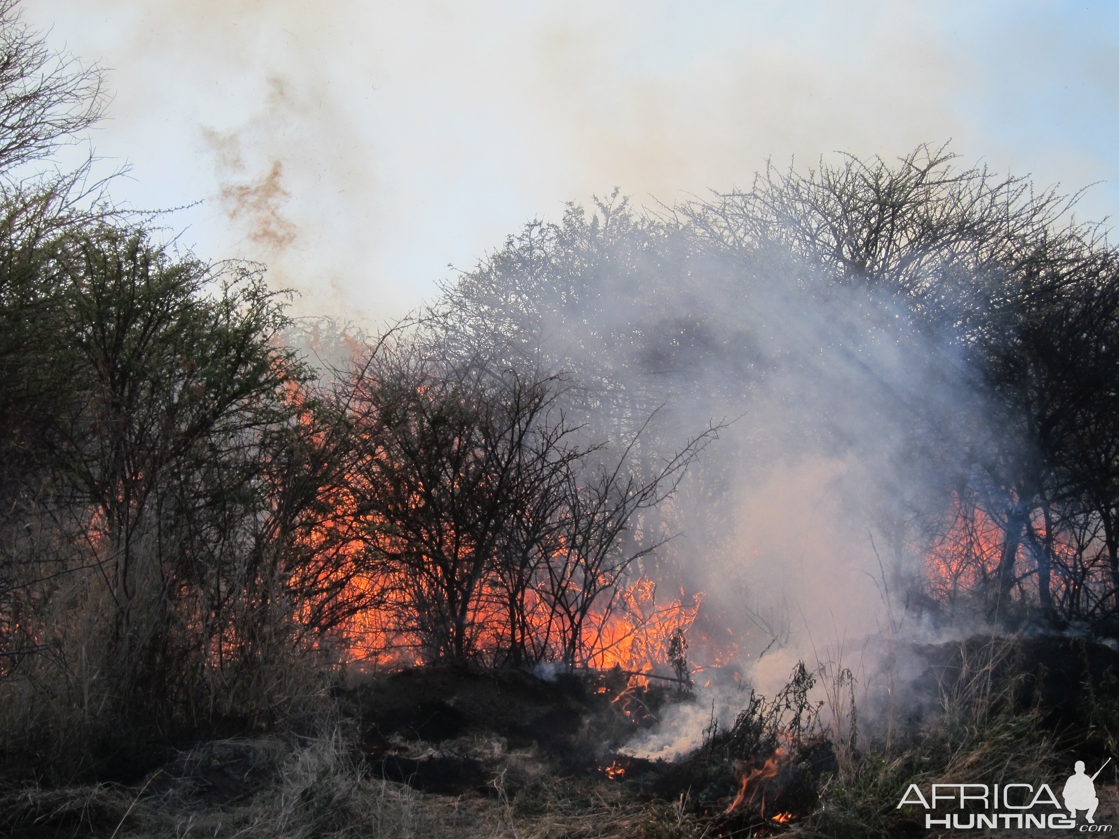 Controlled Bush Fire Namibia