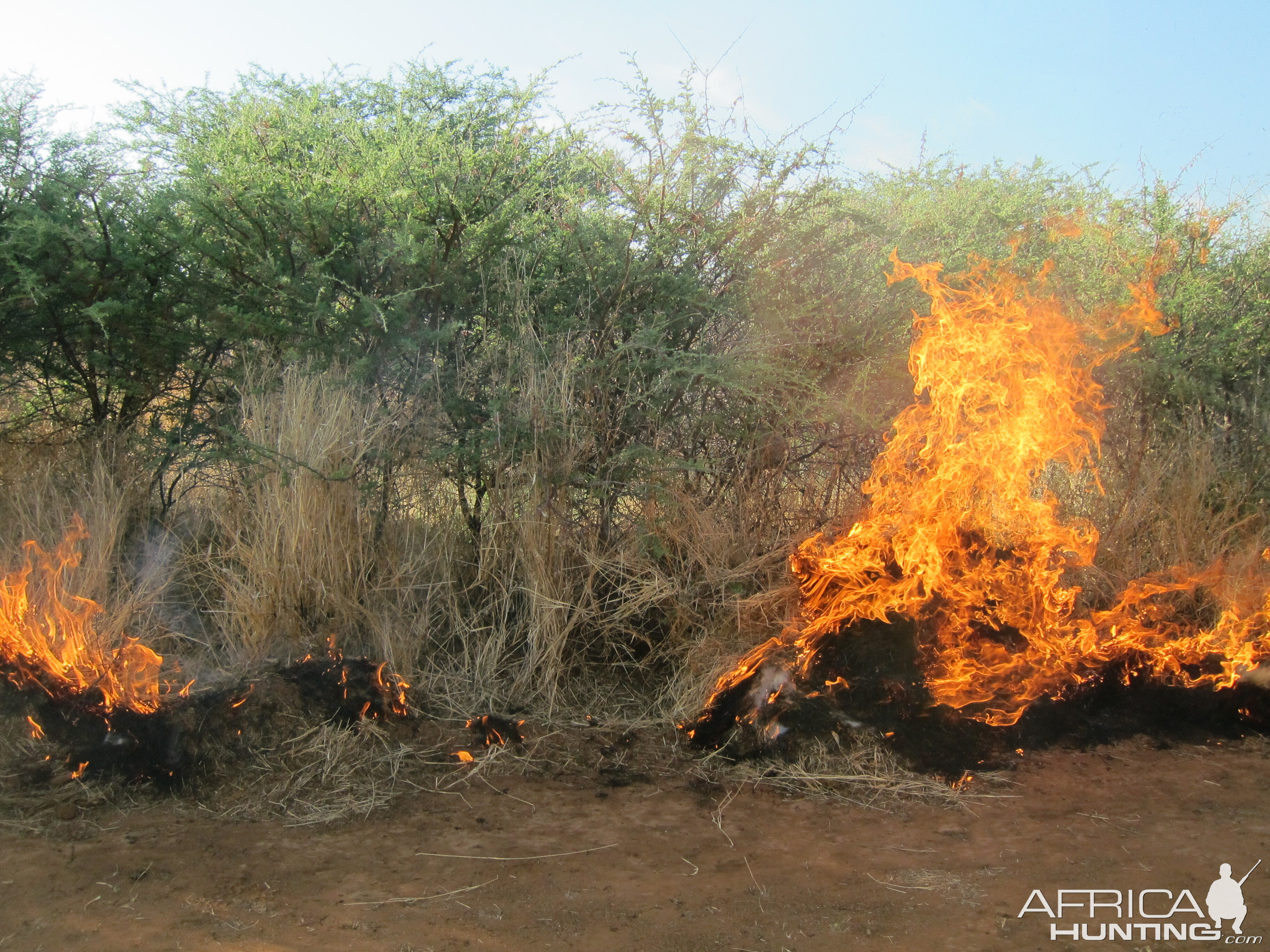 Controlled Bush Fire Namibia