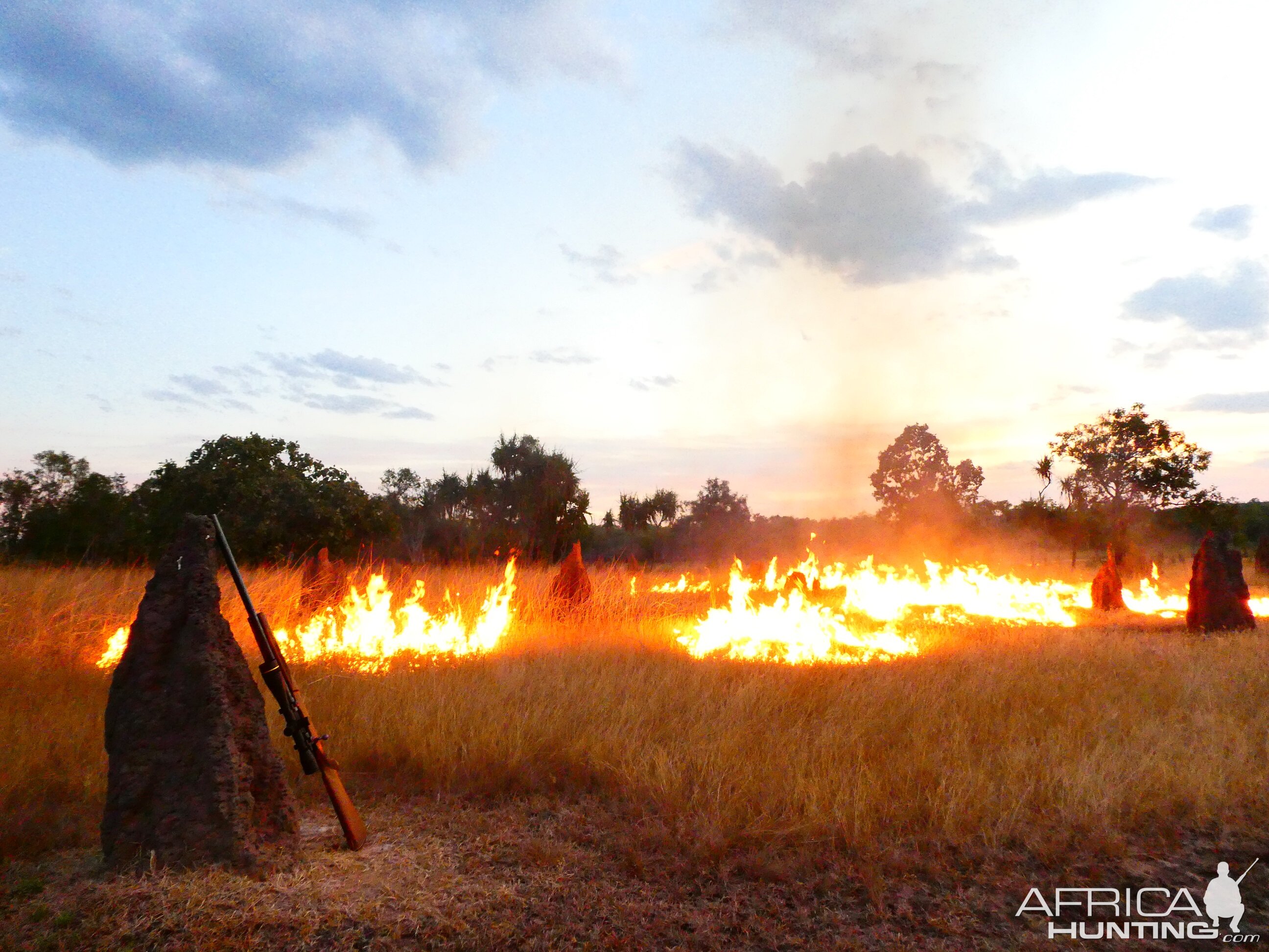 Controlled fires for new growth