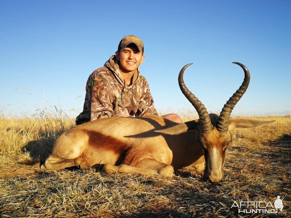 Copper Springbok Hunt South Africa