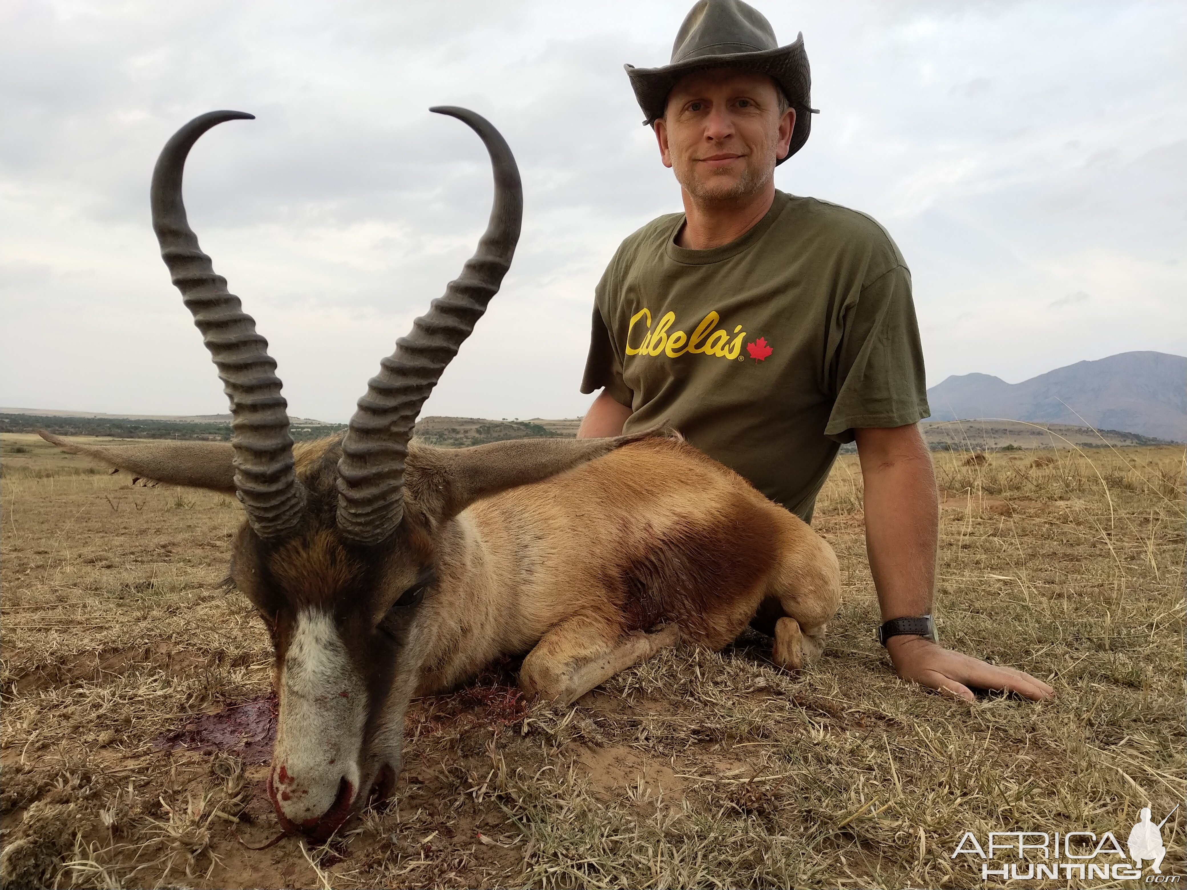 Copper Springbok