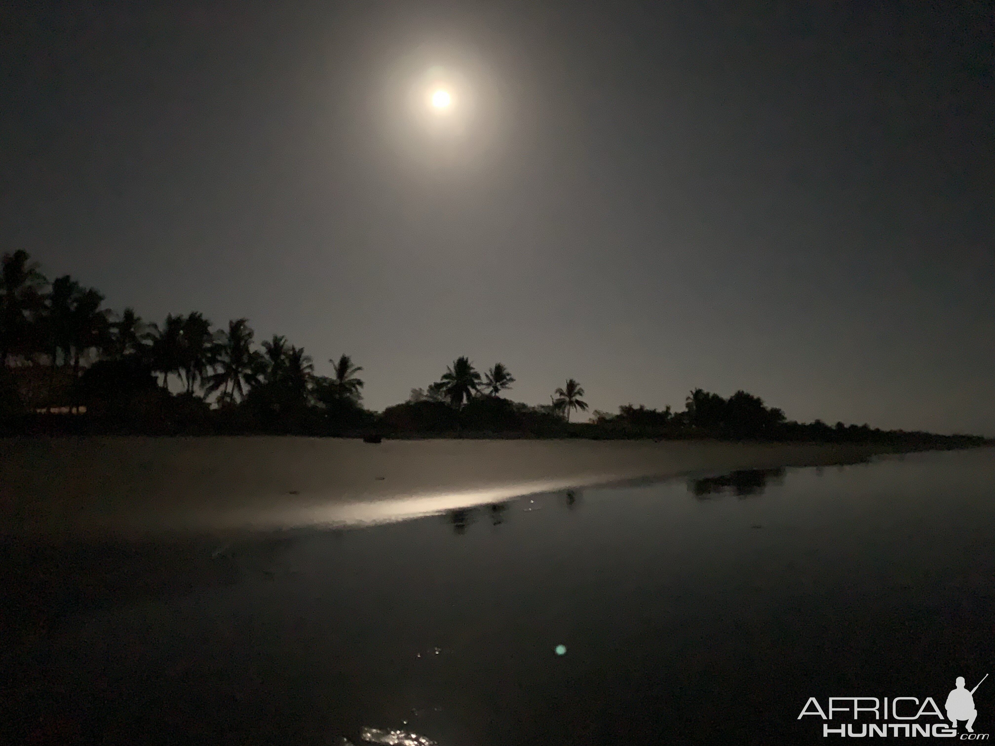 Costa Rica Beach by moonlight