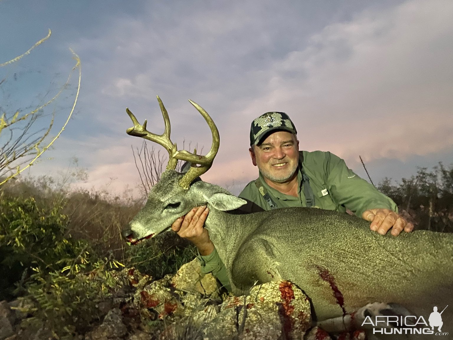 Coues Deer Hunting