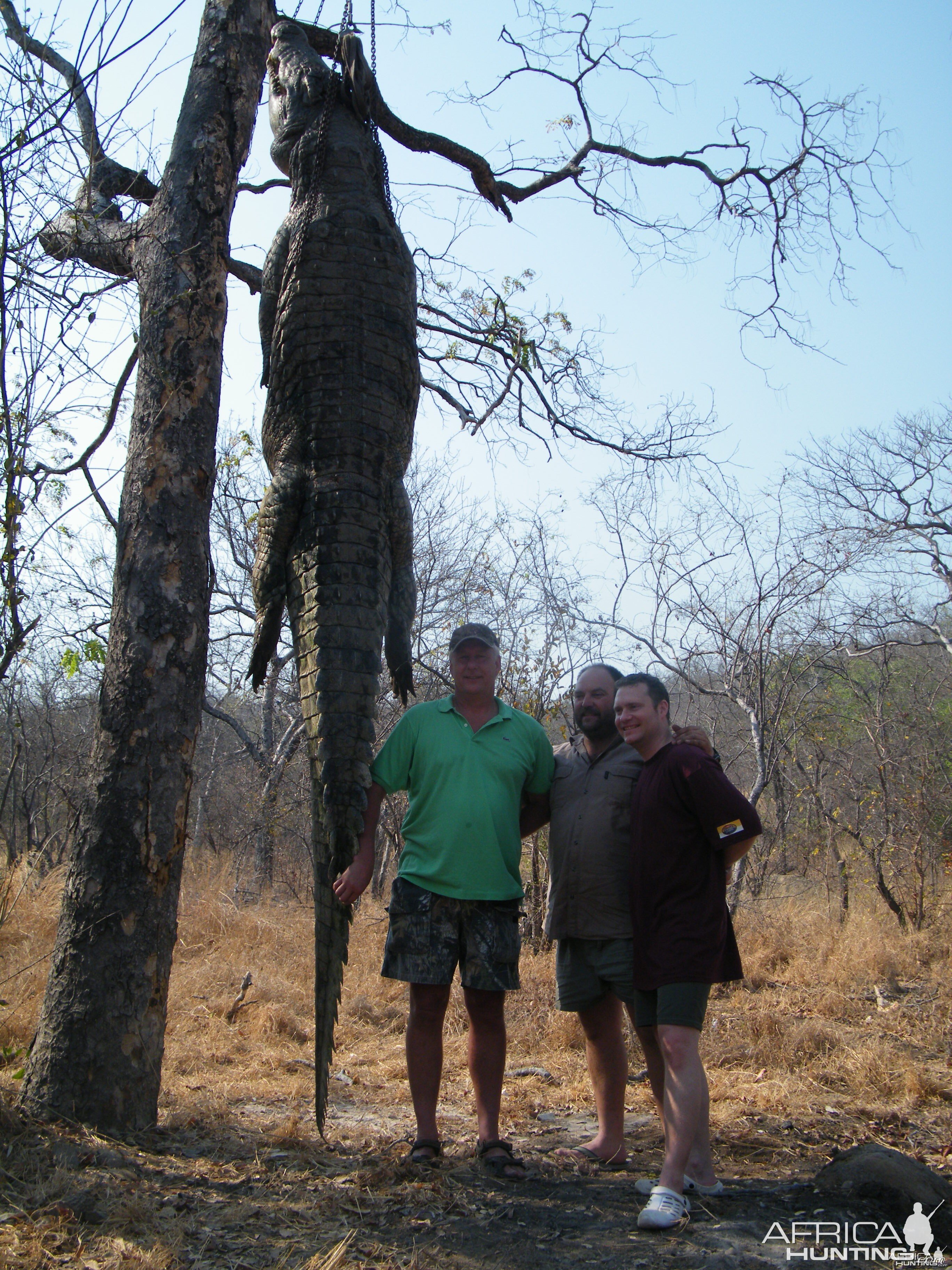 Croc hunt Mozambique