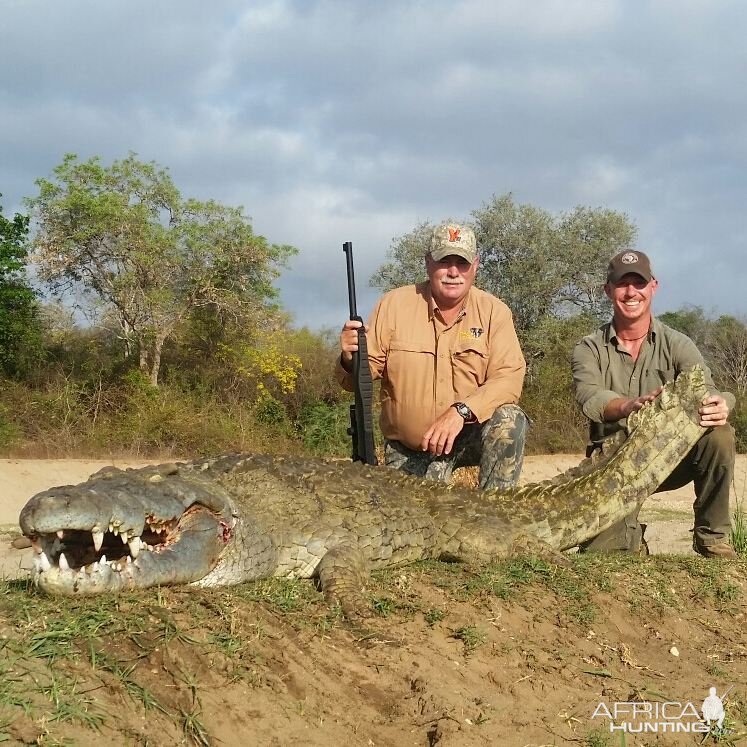 Crocodile Hunt in Tanzania