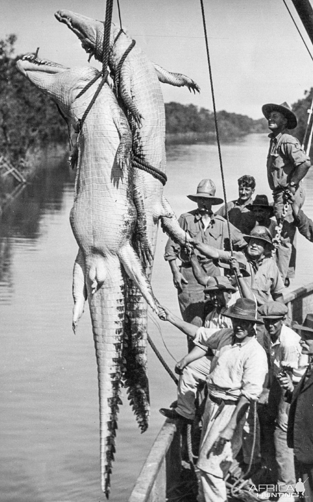 Crocodile Hunt Northern Australia 1931