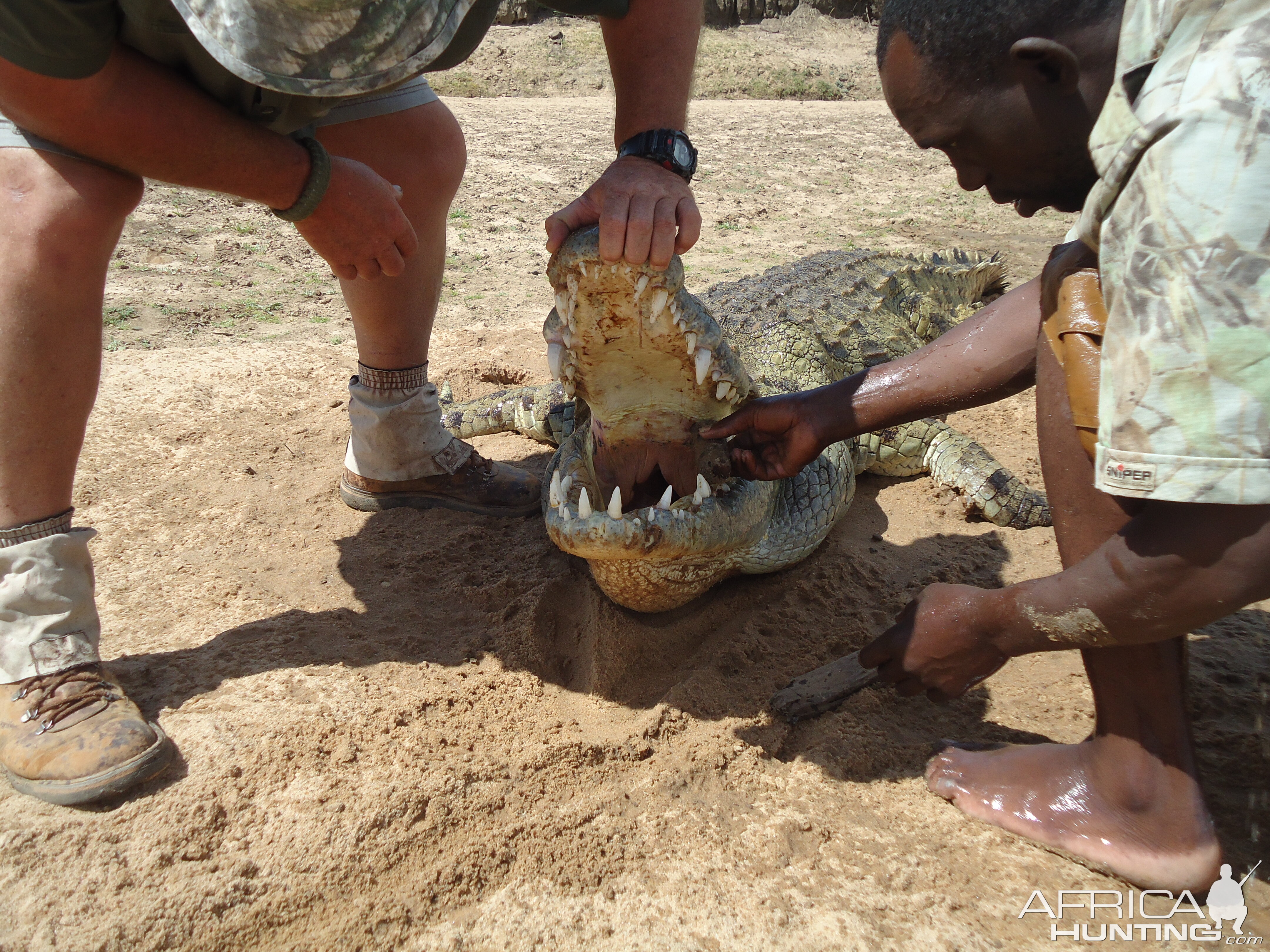 Crocodile Hunt Zambia