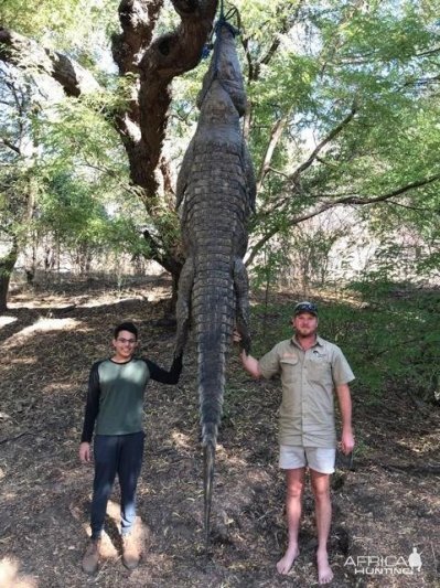 Crocodile Hunt Zimbabwe