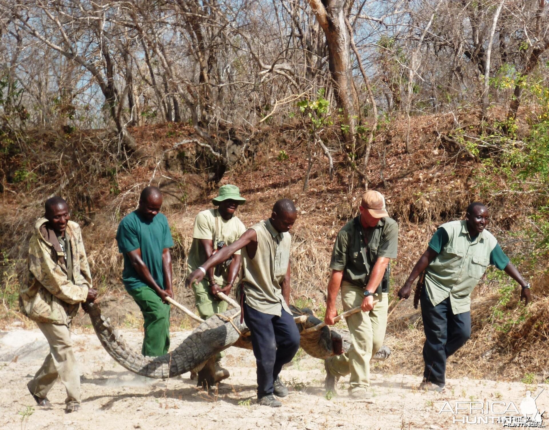 Crocodile hunted in from a hole, Tanzania