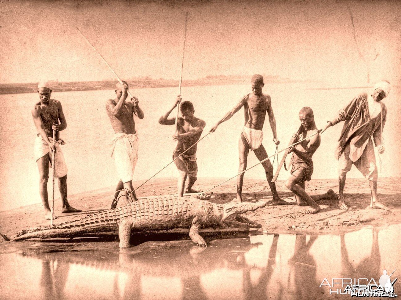 Crocodile hunting at the Nile