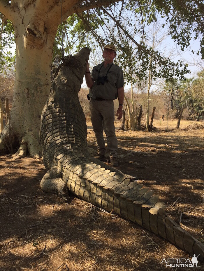 Crocodile Hunting in Zimbabwe