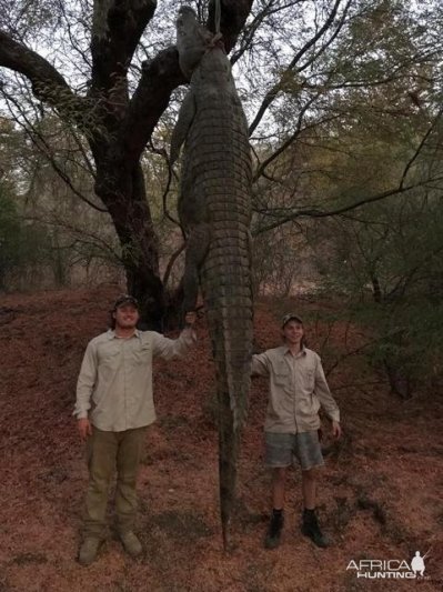 Crocodile Hunting Zimbabwe