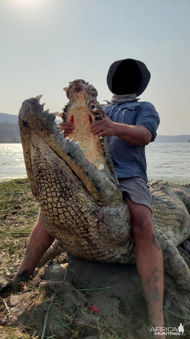 Crocodile Hunting