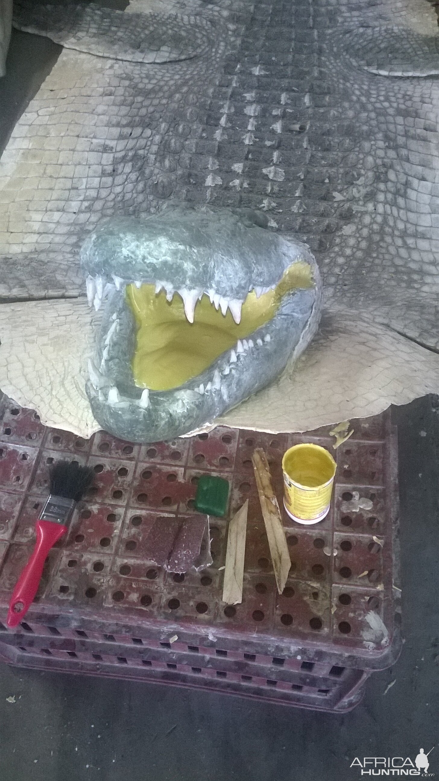 Crocodile rug with replica head ready for painting