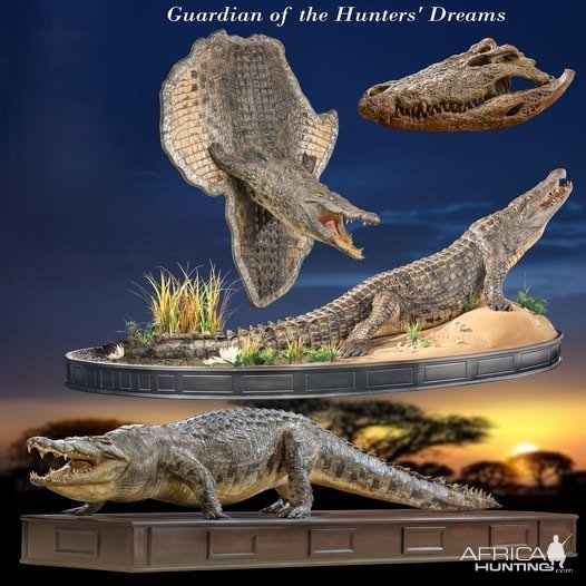 Crocodile Taxidermy