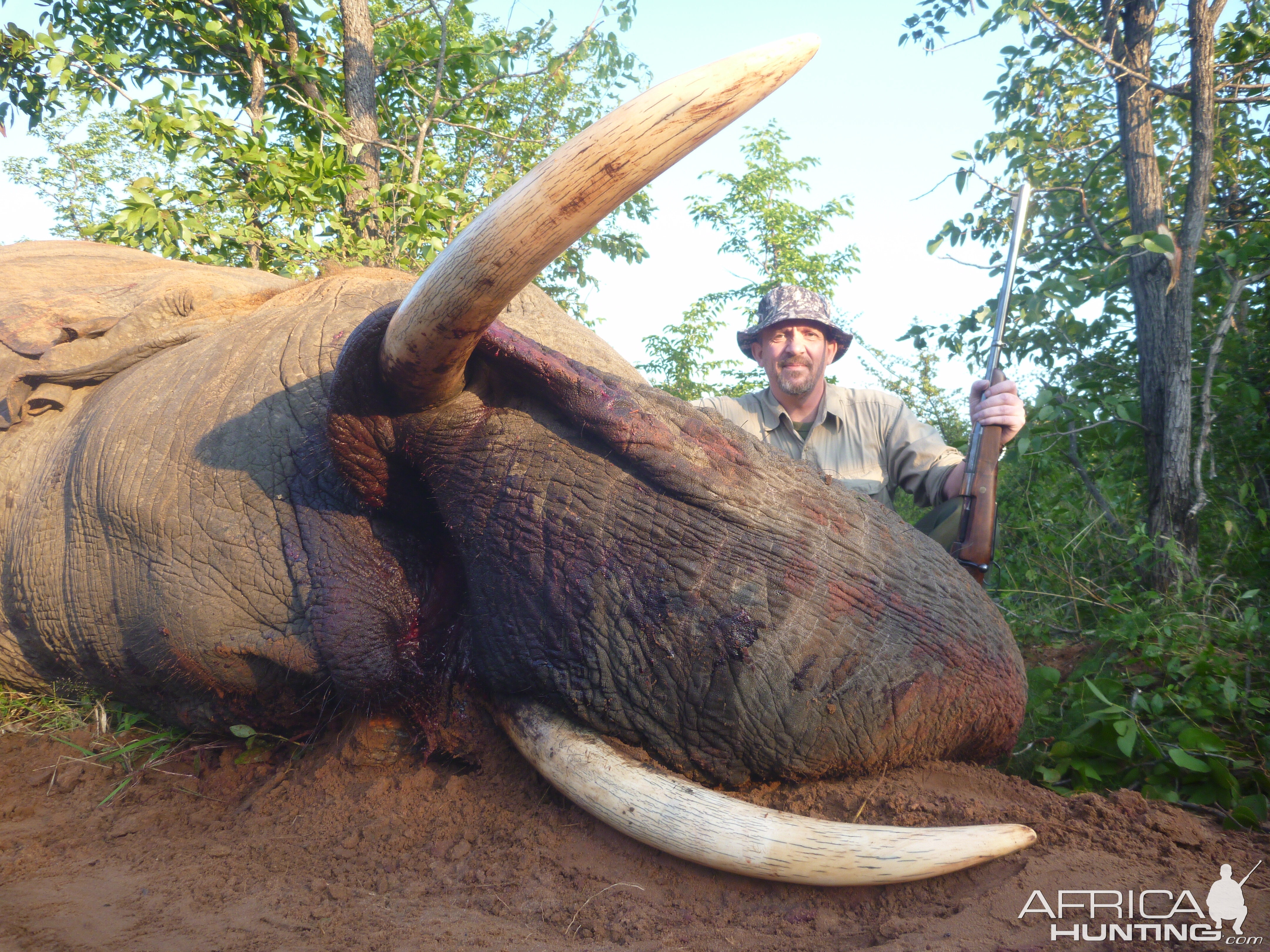 Crop-raiding Elephant Hunt