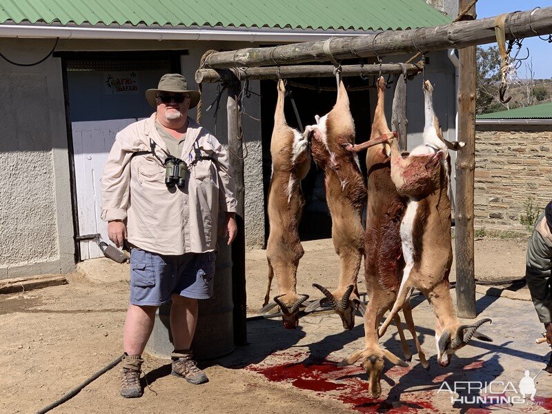 Cull Hunt South Africa Springbok & Female Impala