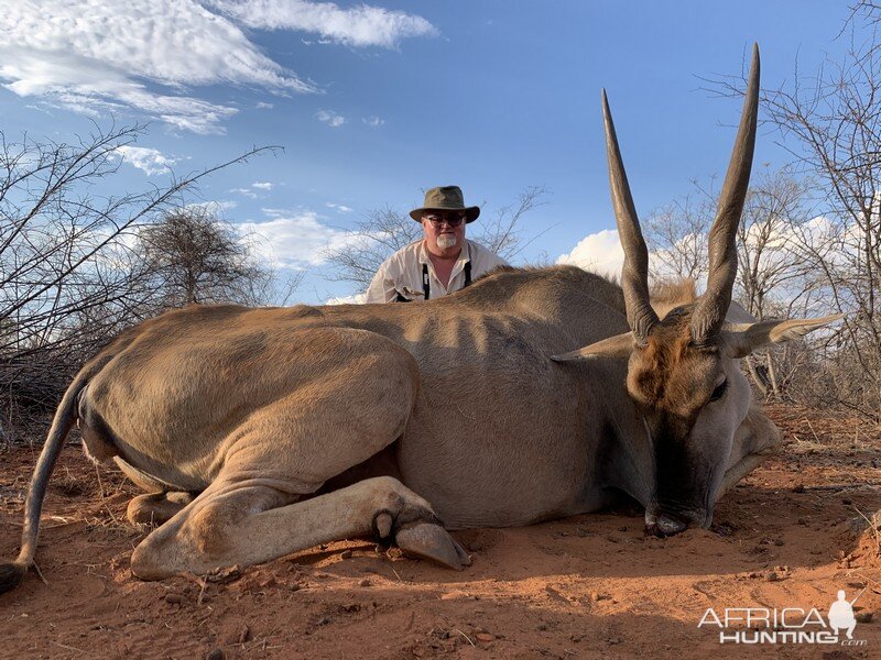 Cull Hunting Eland Female in Namibia