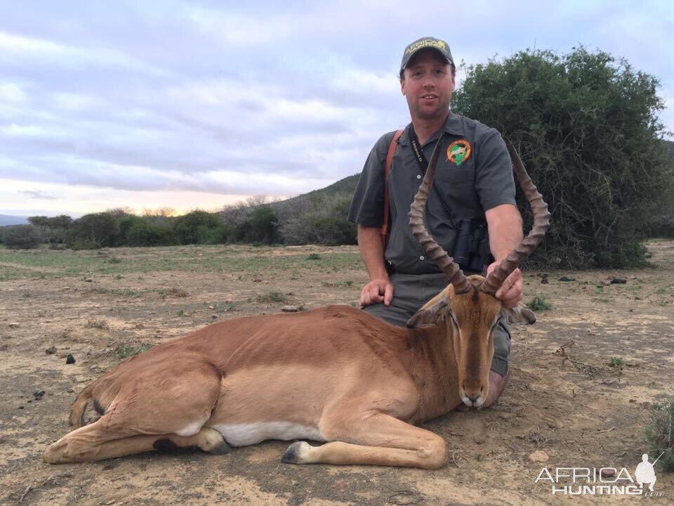 Cull Hunting Impala South Africa