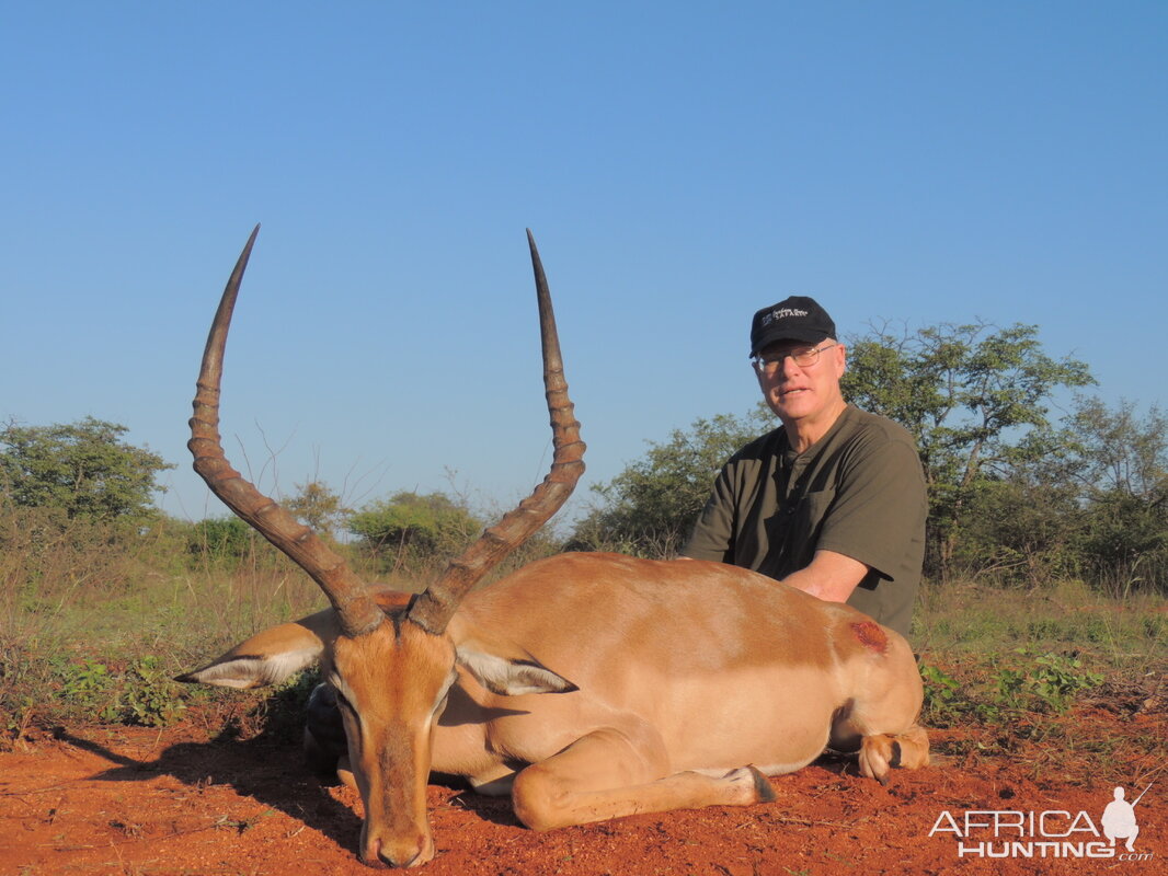 Cull Hunting South Africa Impala