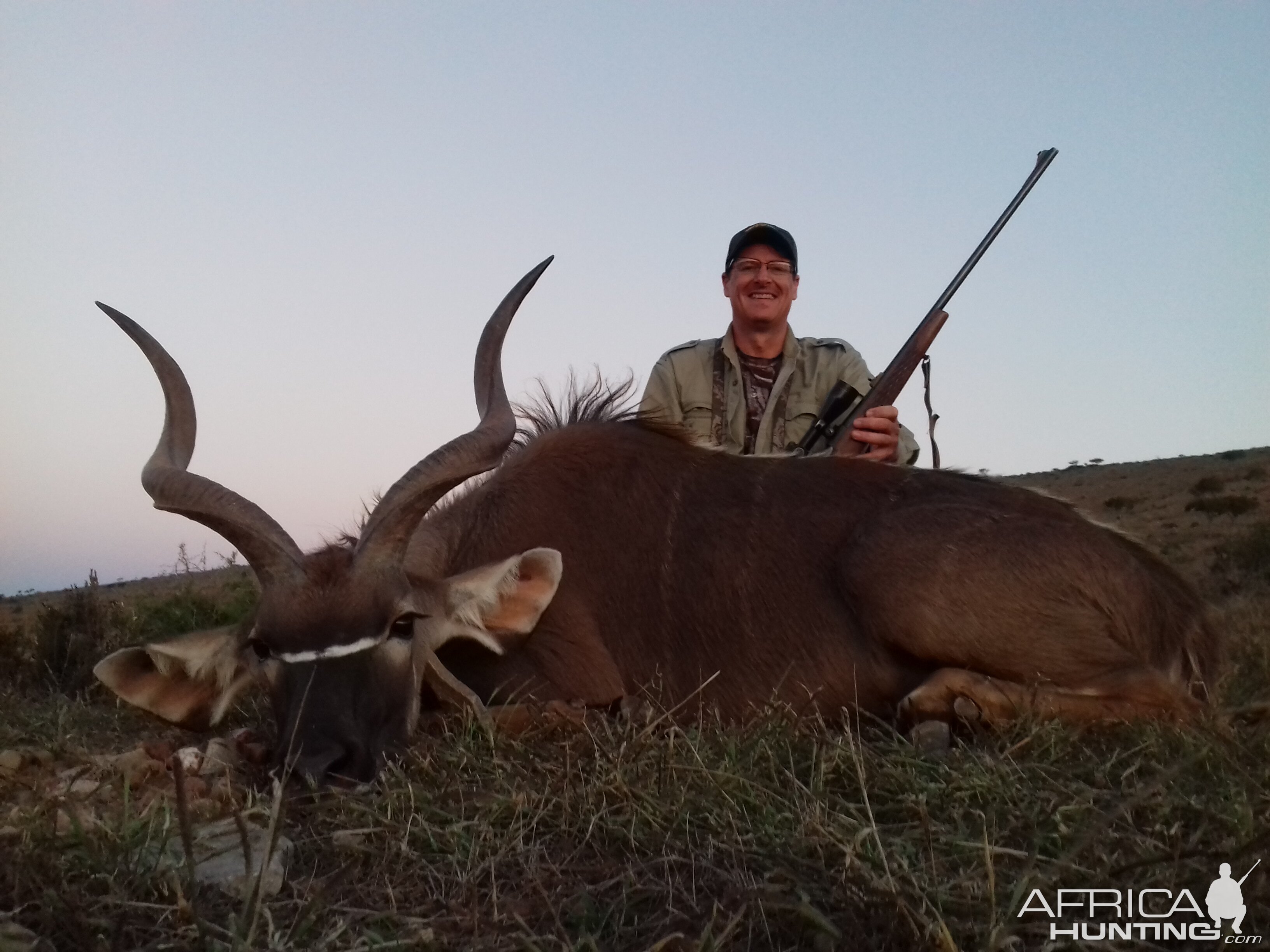 Cull Hunting South Africa Kudu