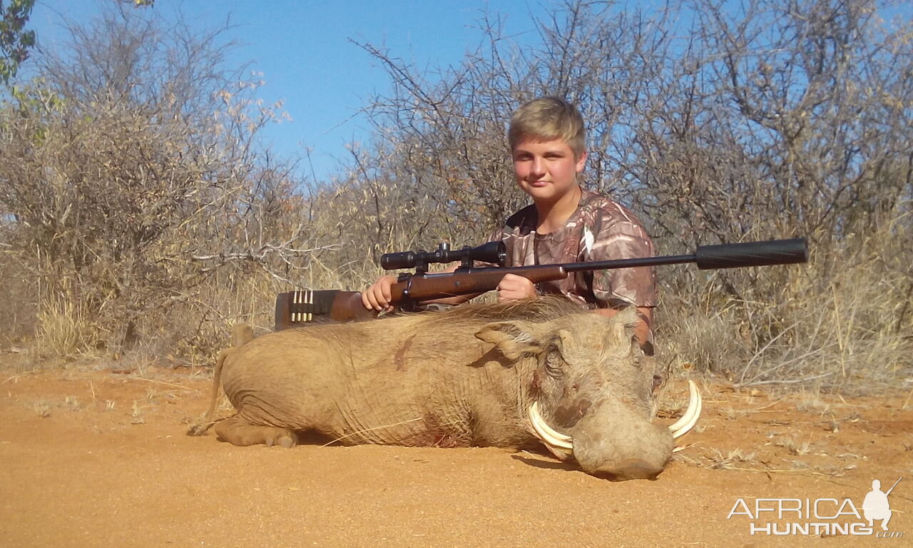 Cull Hunting Warthog in South Africa