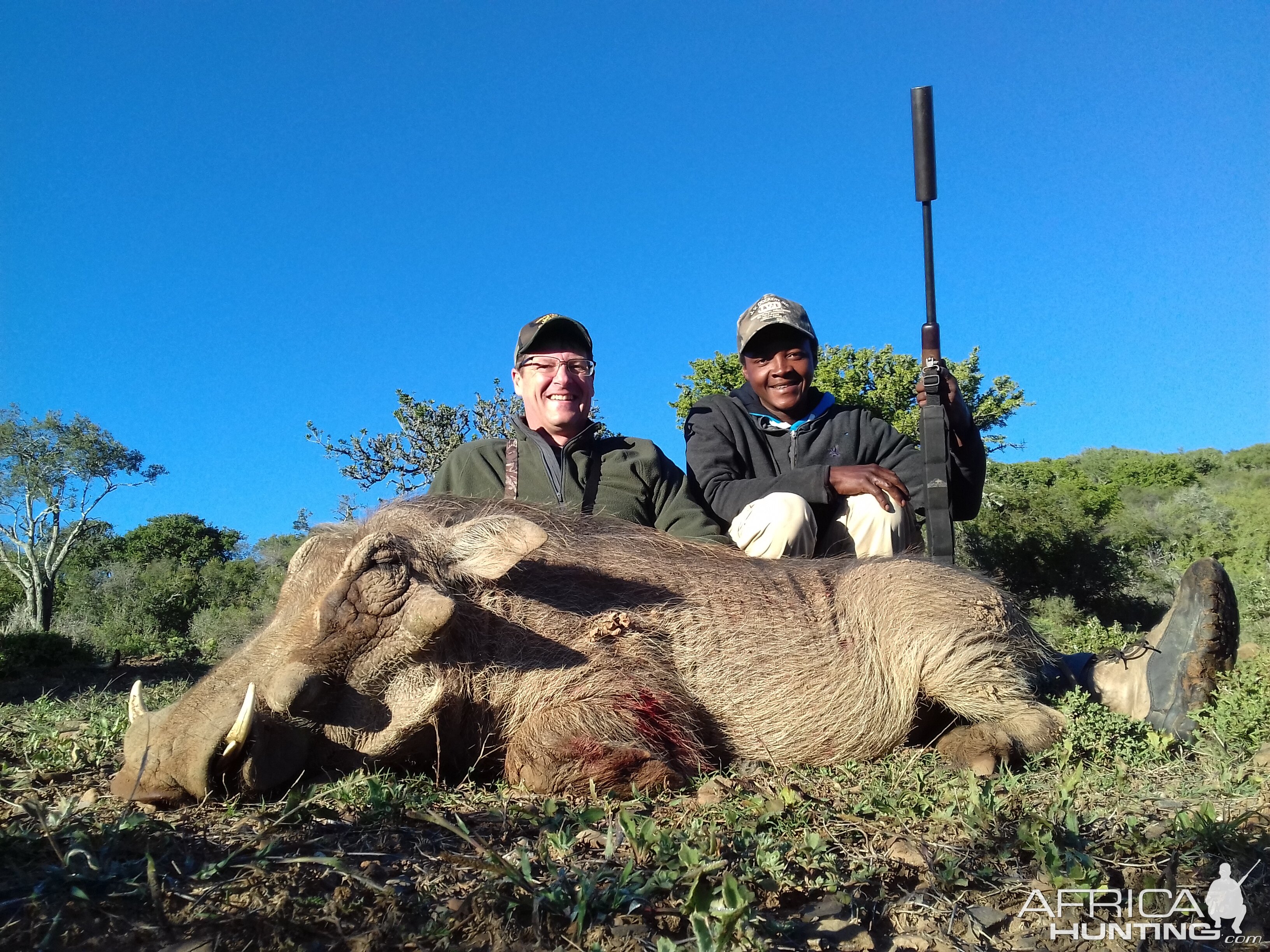 Cull Hunting Warthog in South Africa