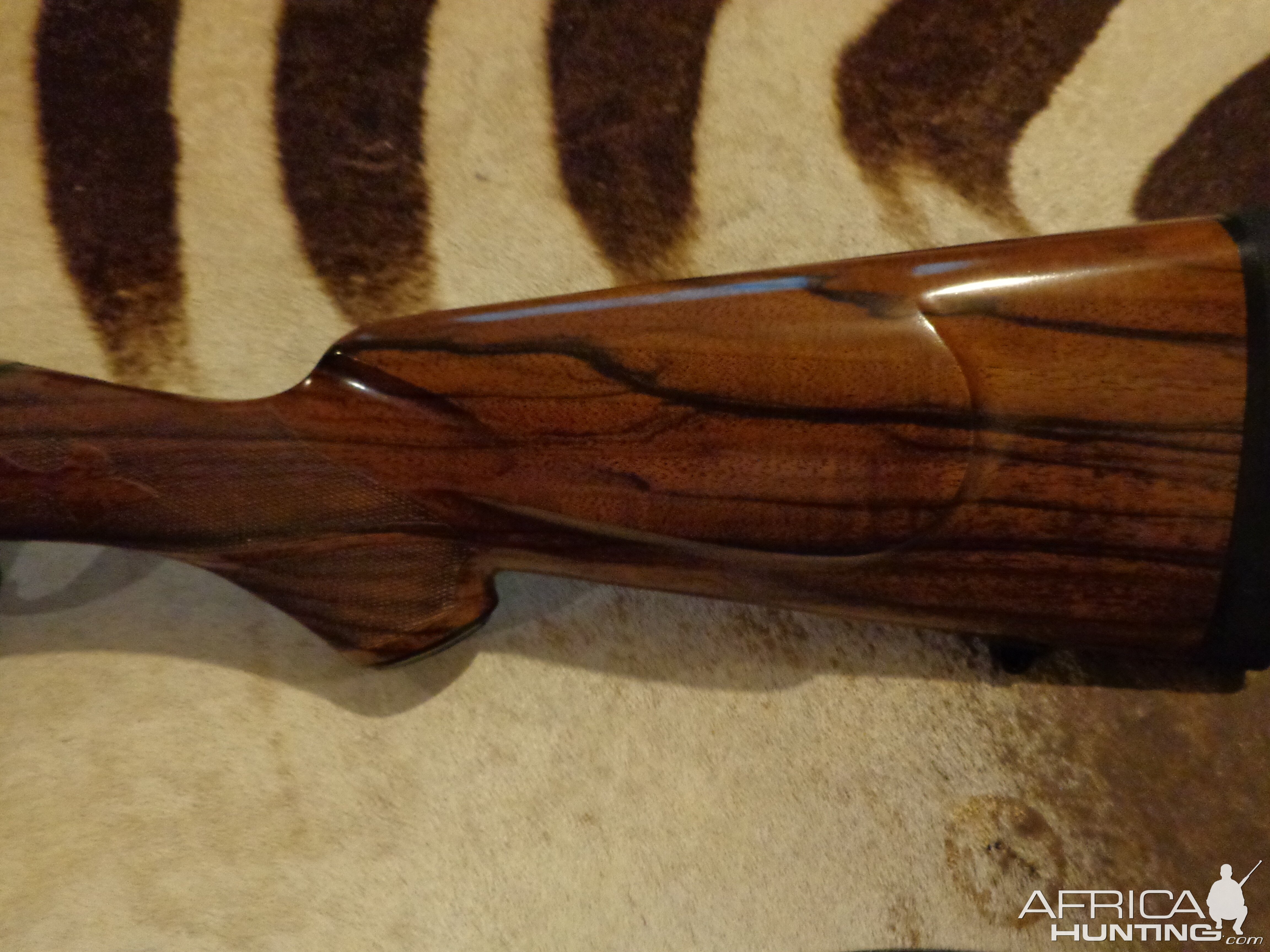 CZ .375 Rifle with nice Walnut stock