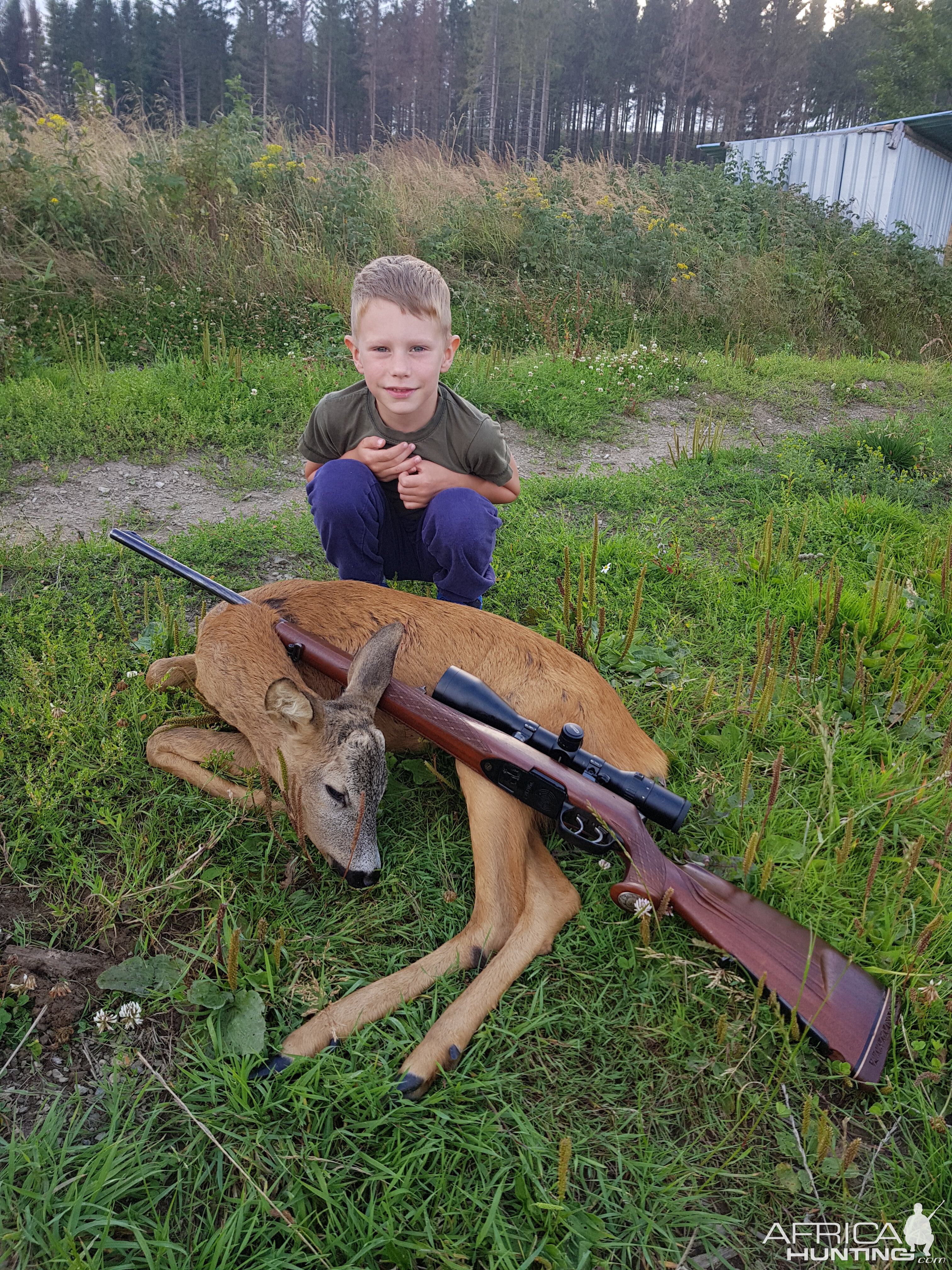 Czech Republic Hunting Roebuck