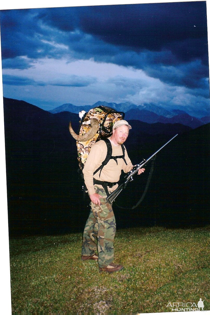 Dall Sheep Hunt West Alaska Range