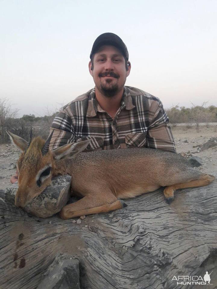 Damara Dik-Dik Hunt Namibia