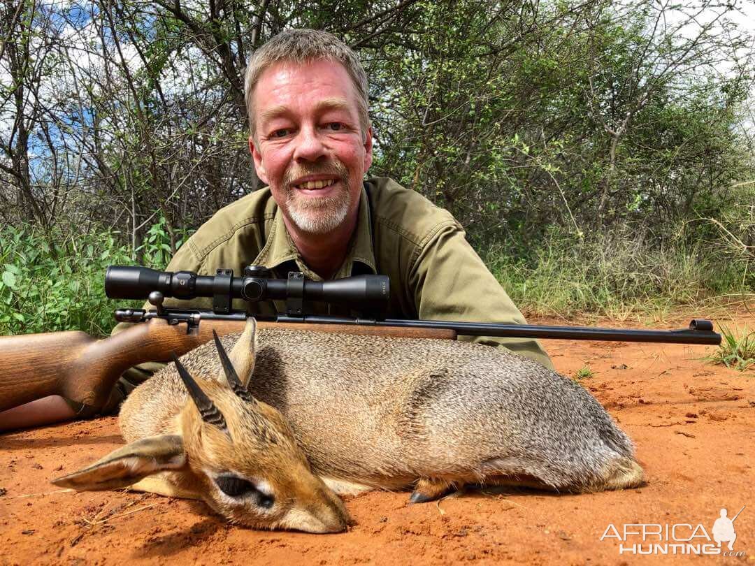 Damara Dik Dik Hunt Namibia