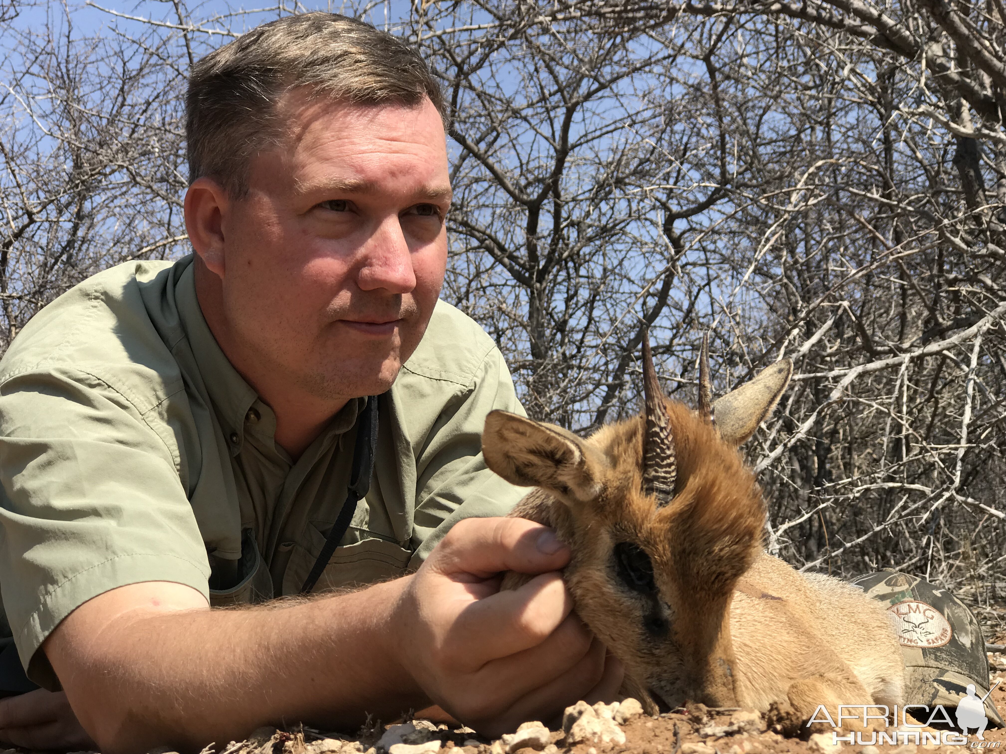 Damara Dik-dik Hunt Namibia