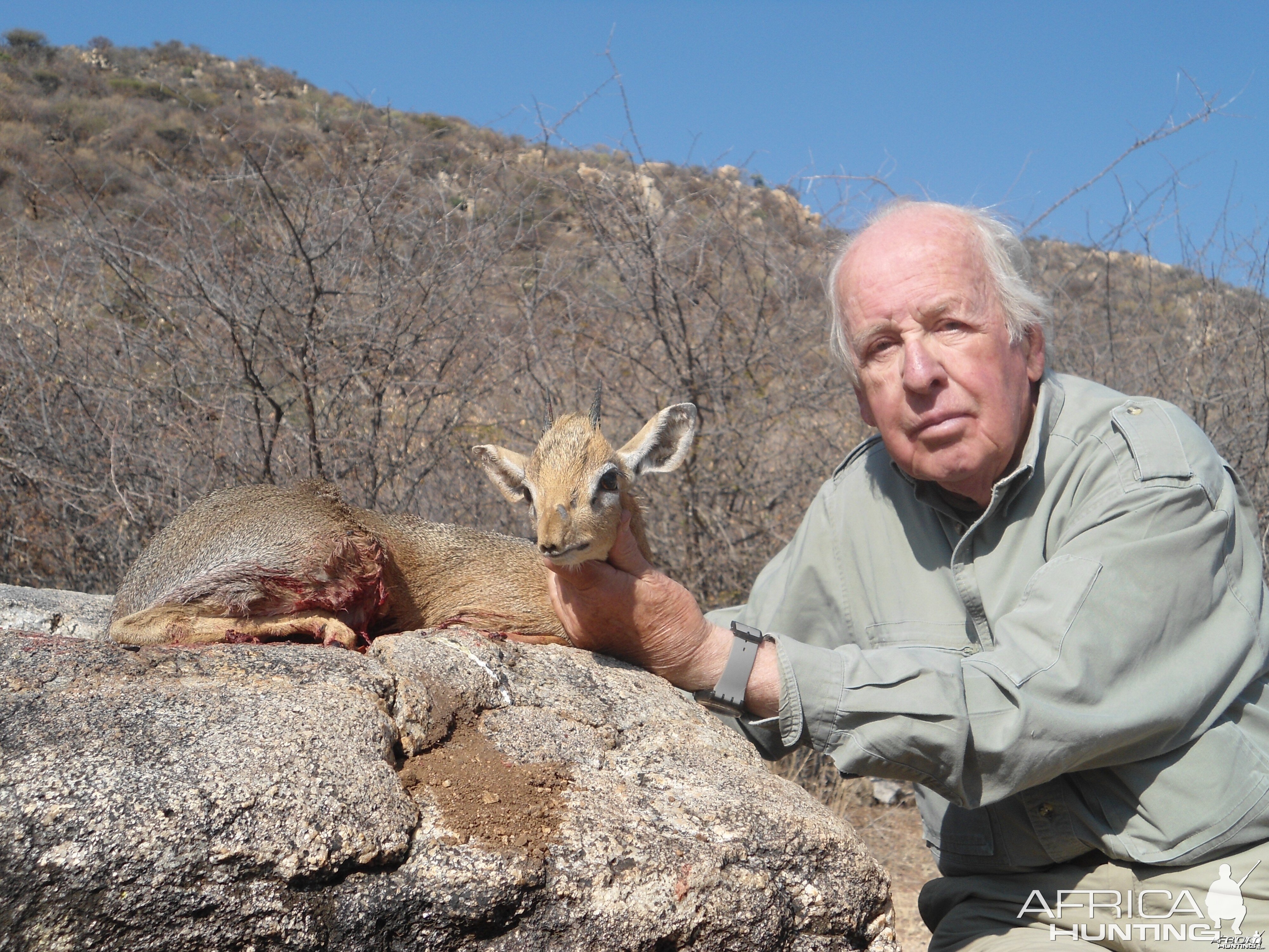 Damara Dik-Dik hunted with Ozondjahe Hunting Safaris in Namibia