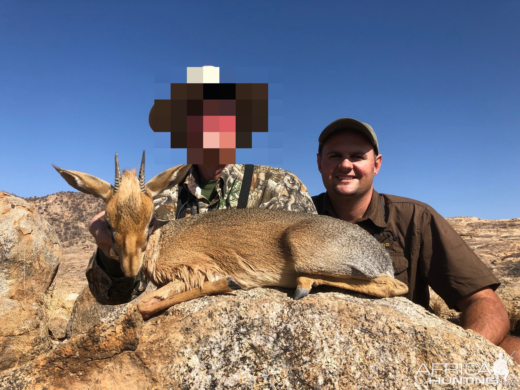 Damara Dik-dik Hunting Namibia