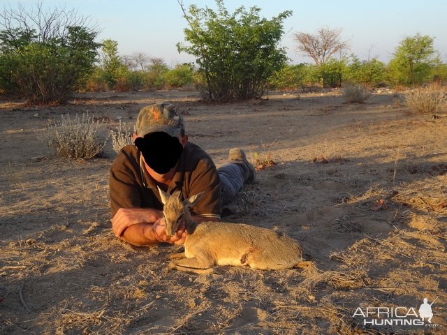 Damara Dik-Dik Hunting