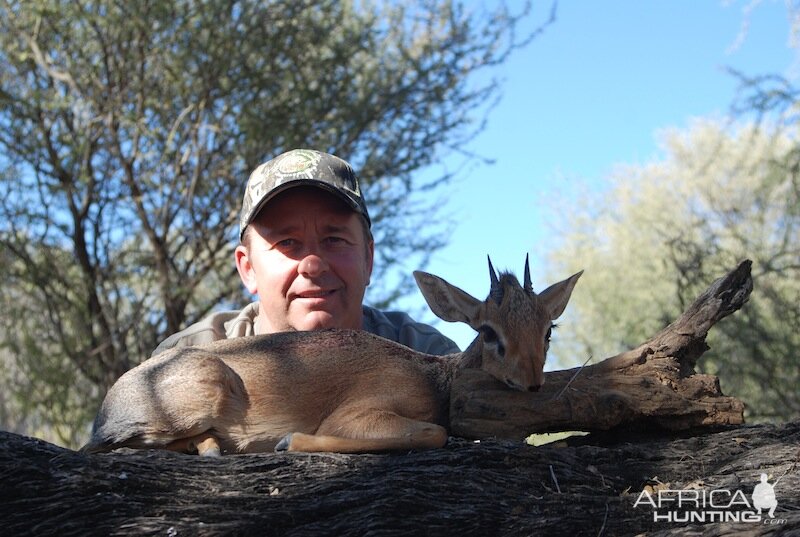 Damara Dik Dik Namibia  Hunt