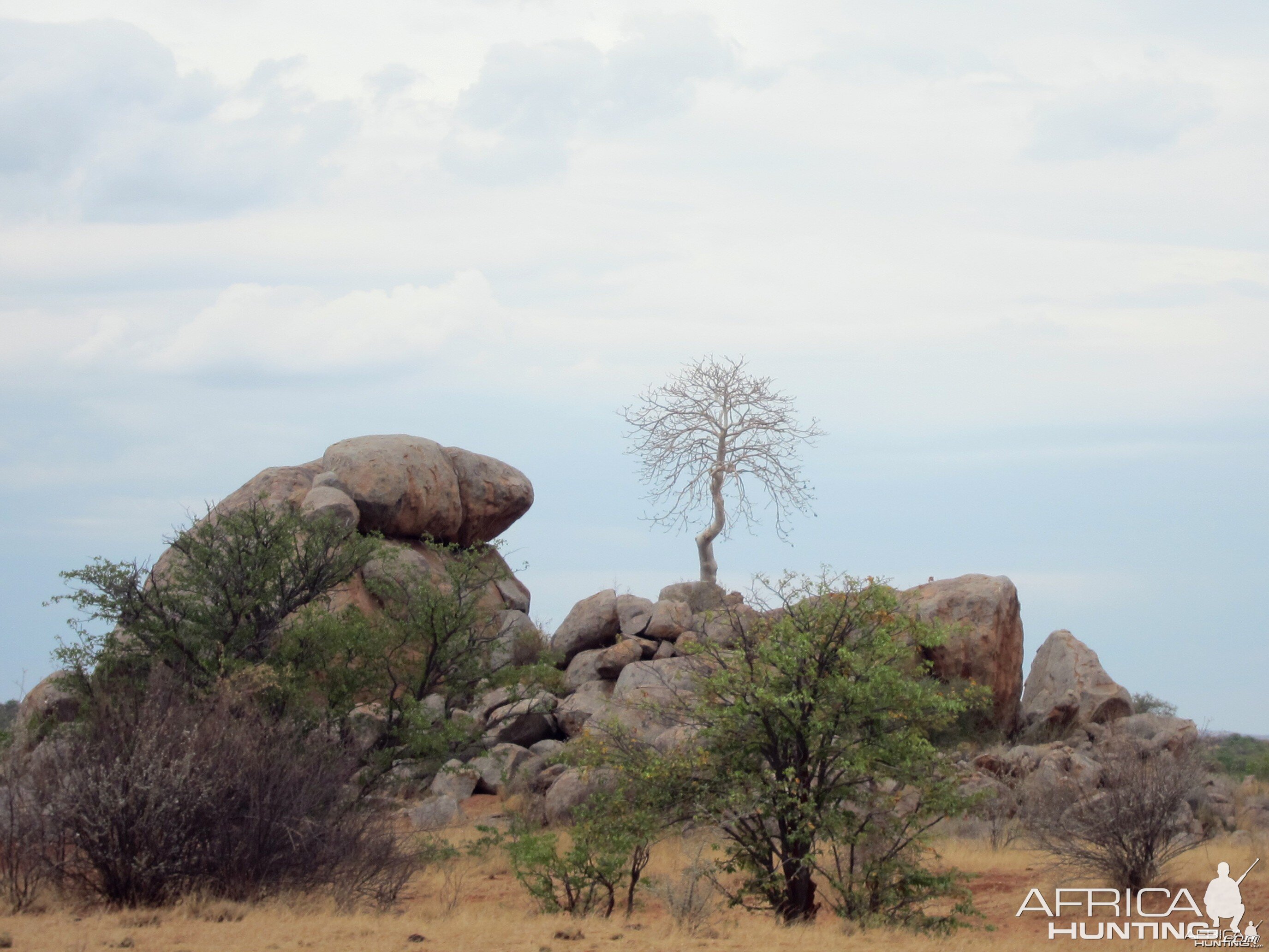 Damaraland Namibia