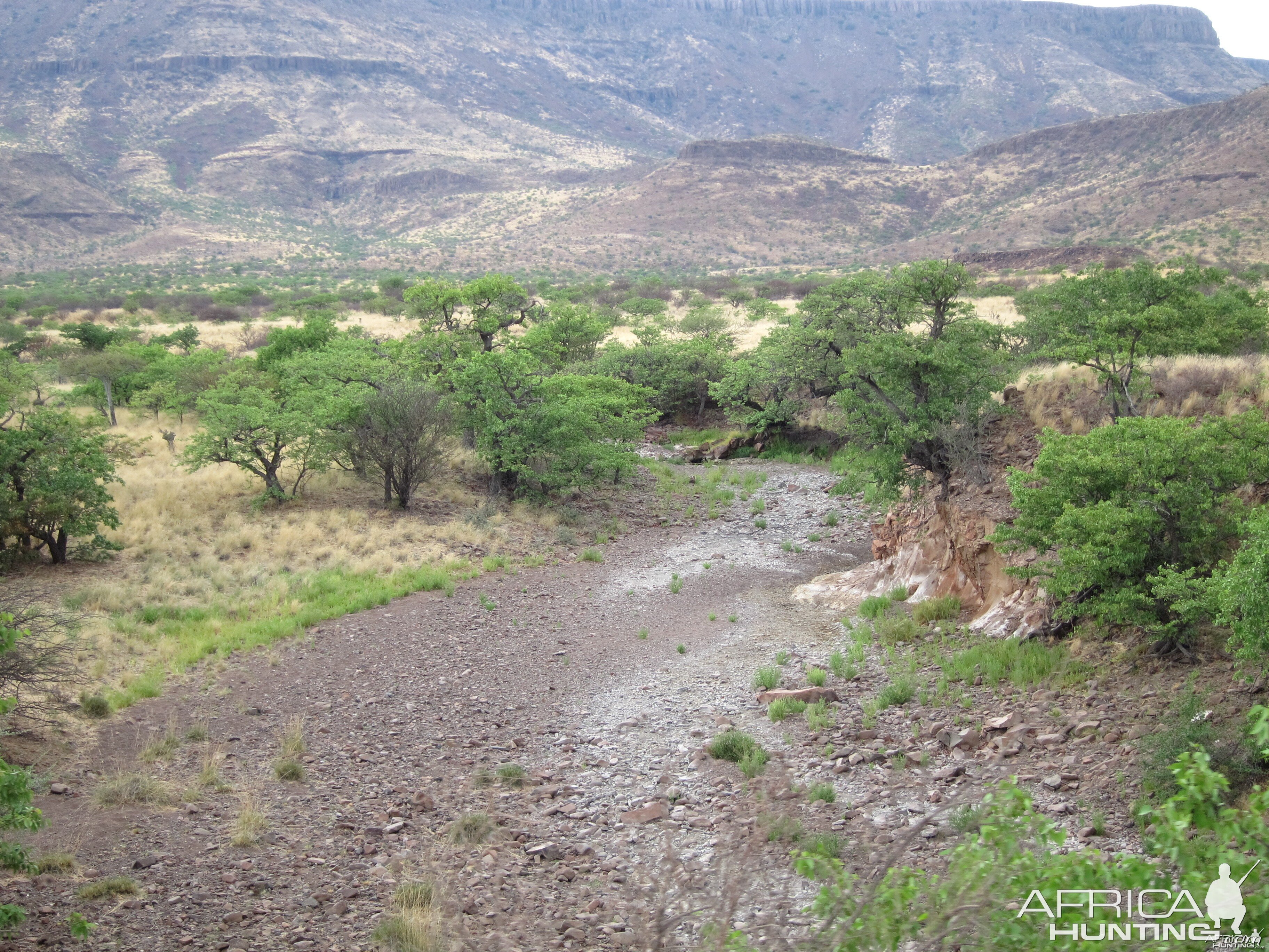 Damaraland Namibia