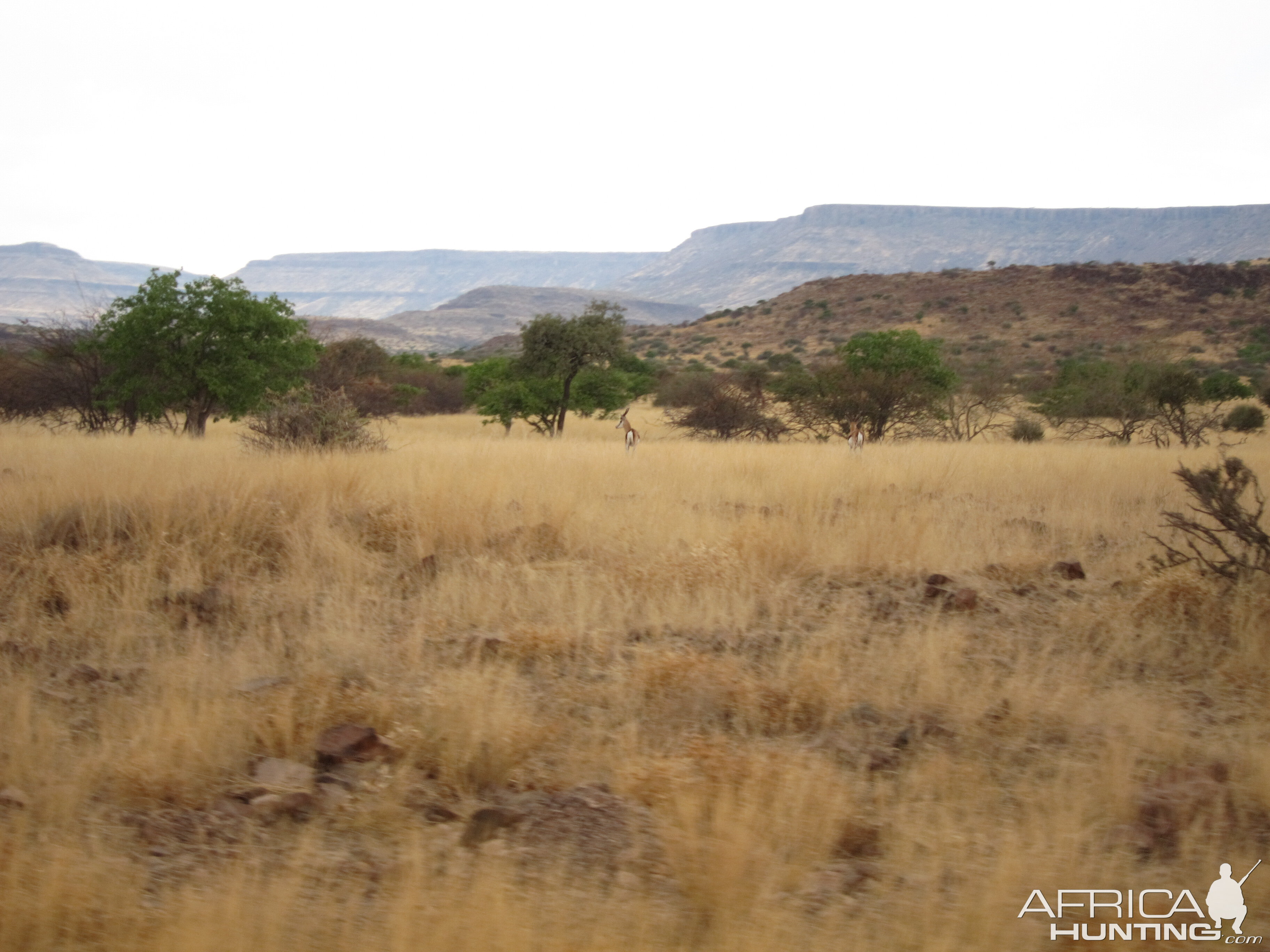 Damaraland Namibia