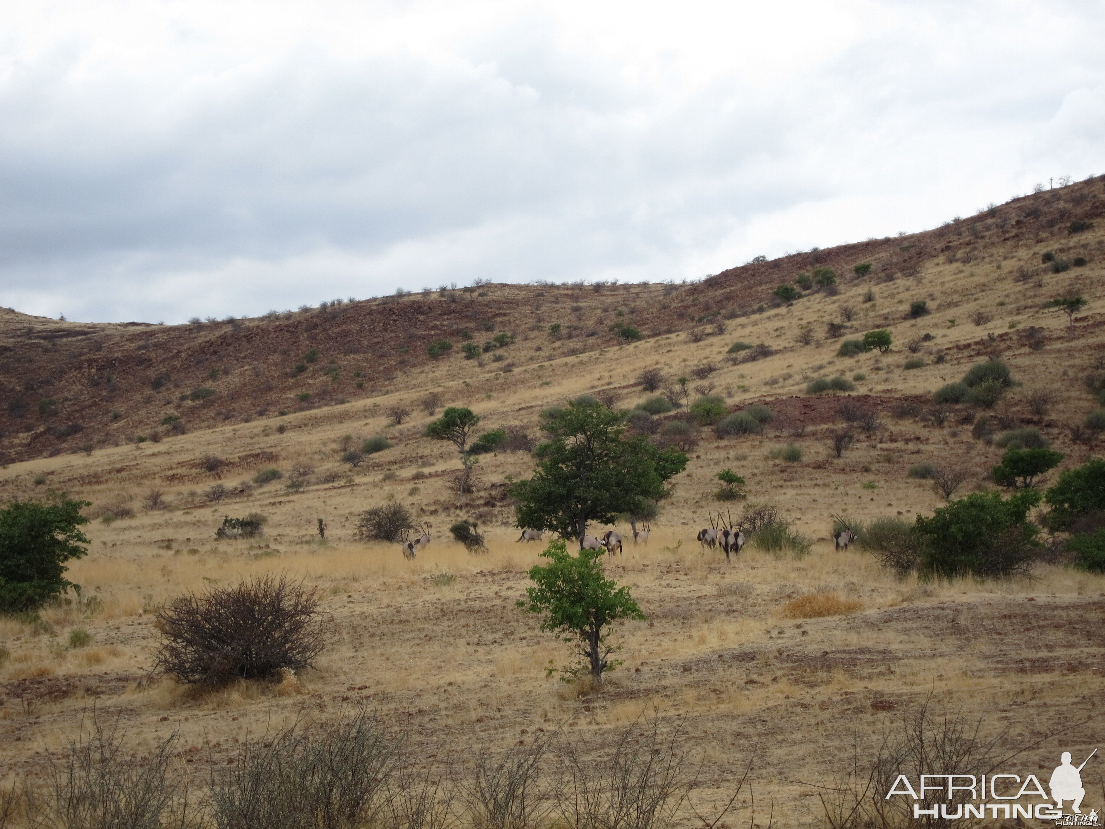 Damaraland Namibia