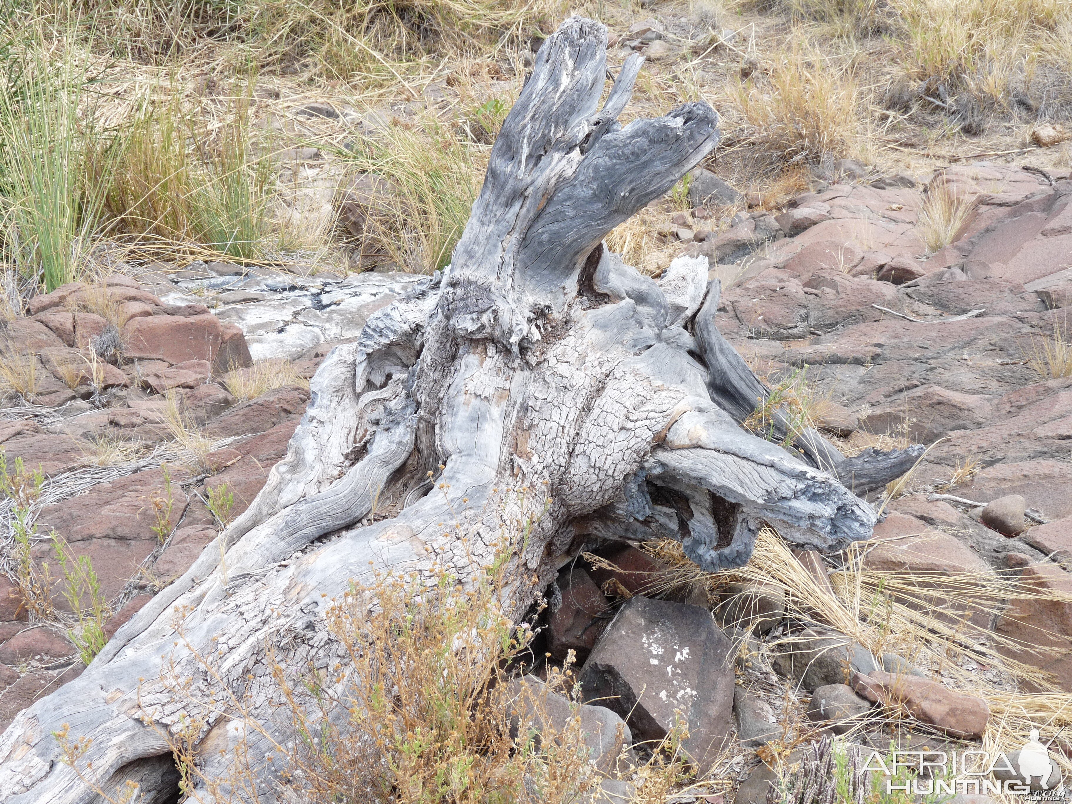 Damaraland Namibia