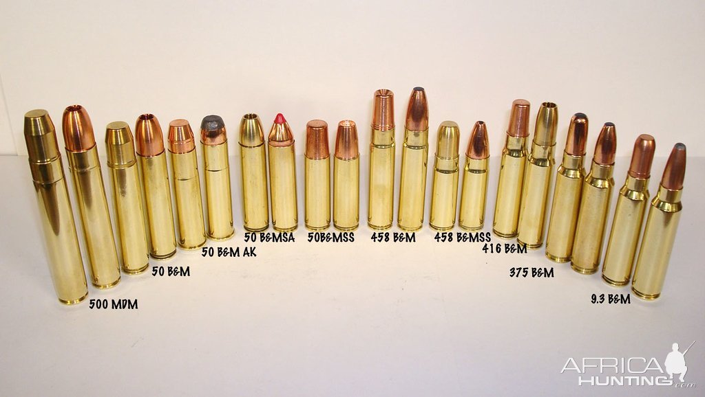 Dangerous Game Hunting Cartridges