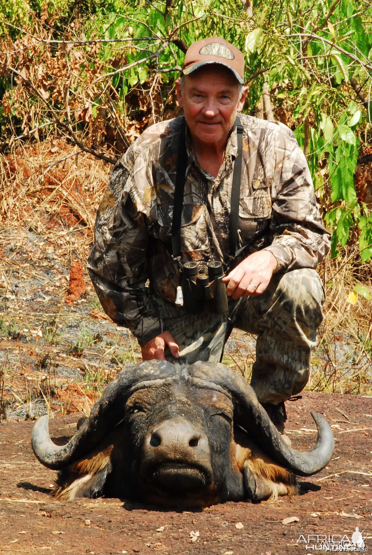 Deep curl Buffalo hunted in CAR with Central African Wildlife Adventures