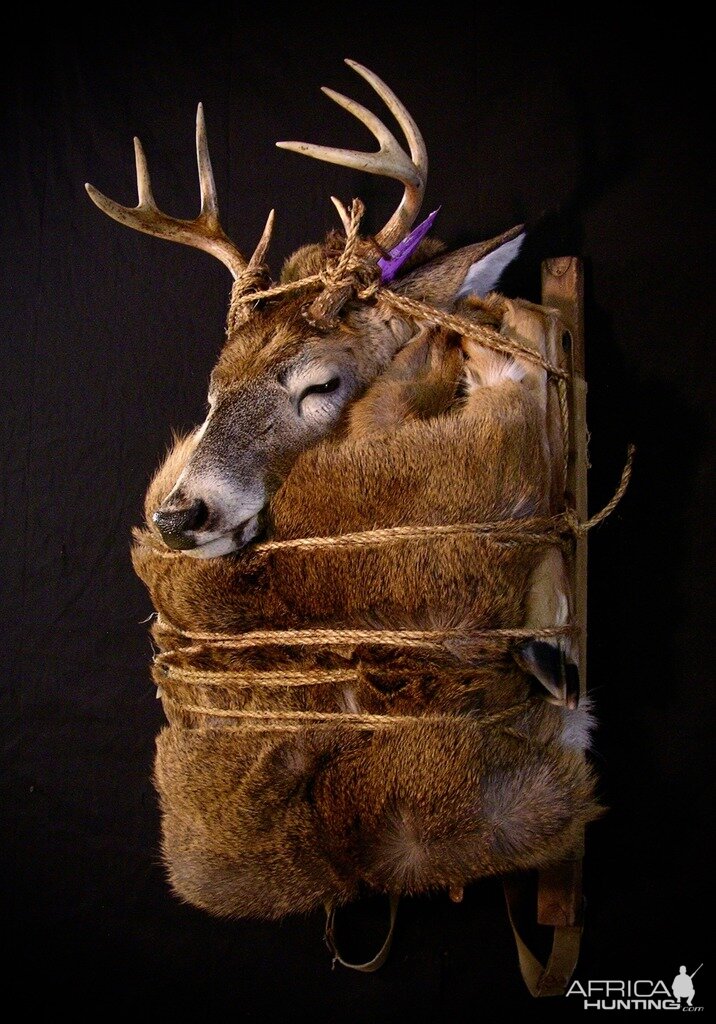 Deer Backpack Mounts Taxidermy