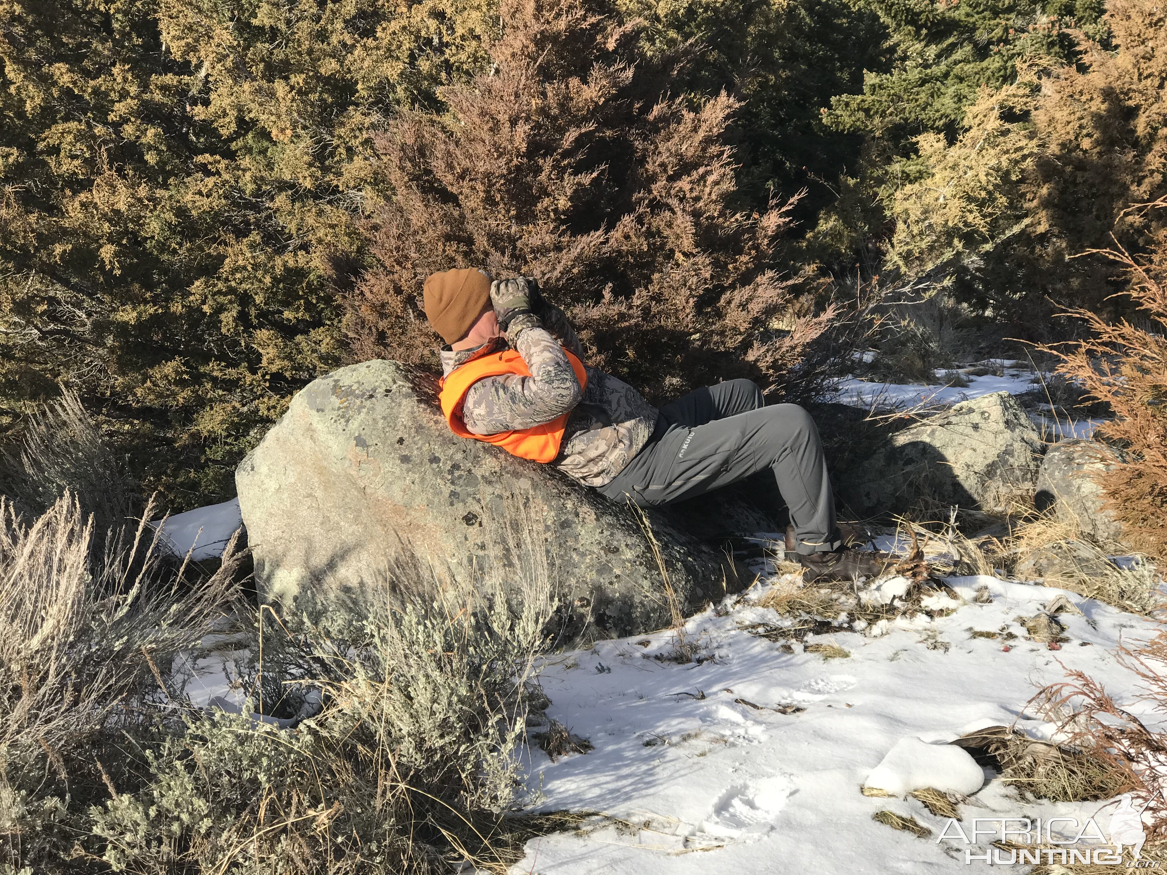 Deer Hunt in Montana