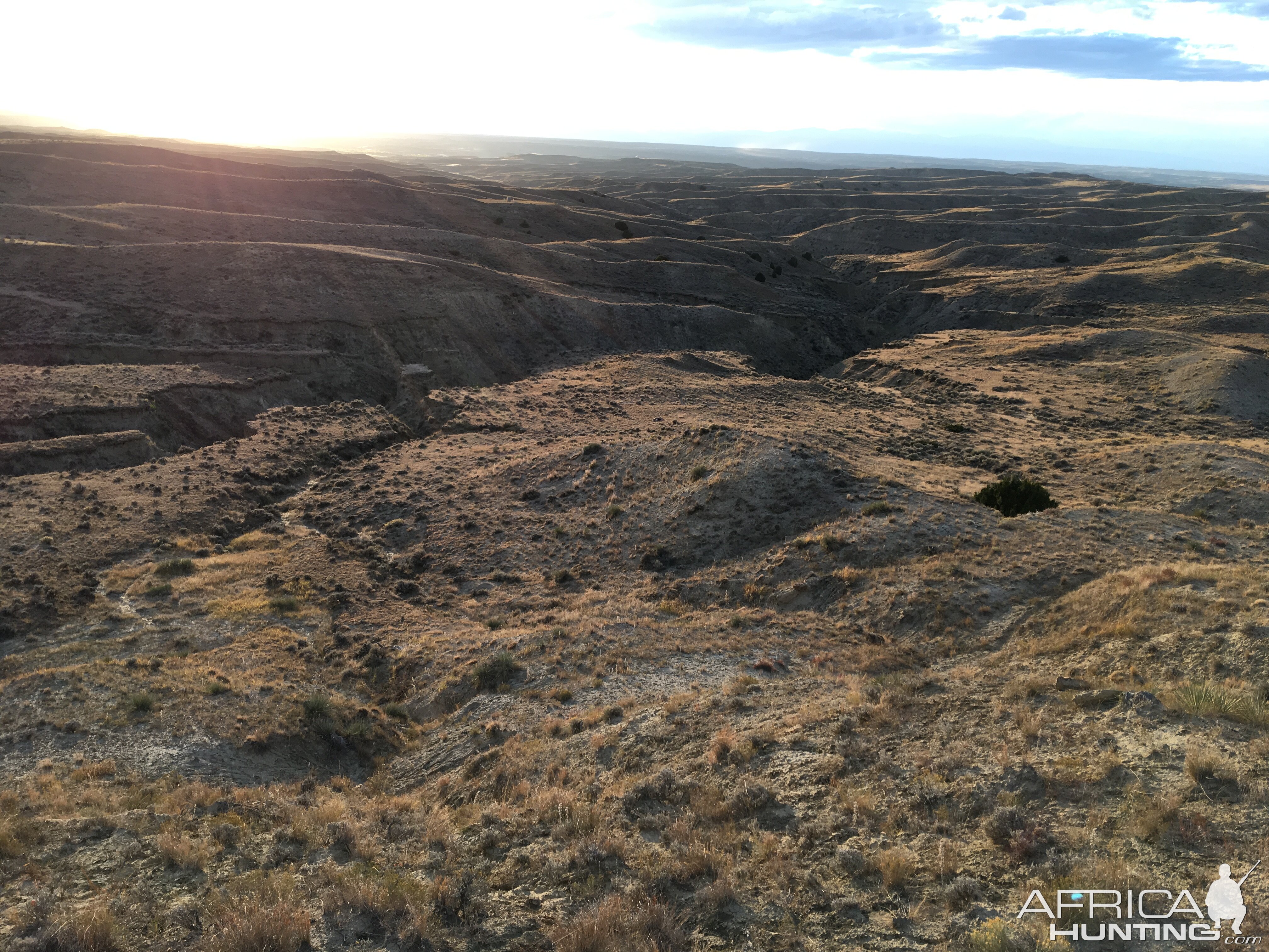 Deer & Pronghorn Hunting Wyoming USA