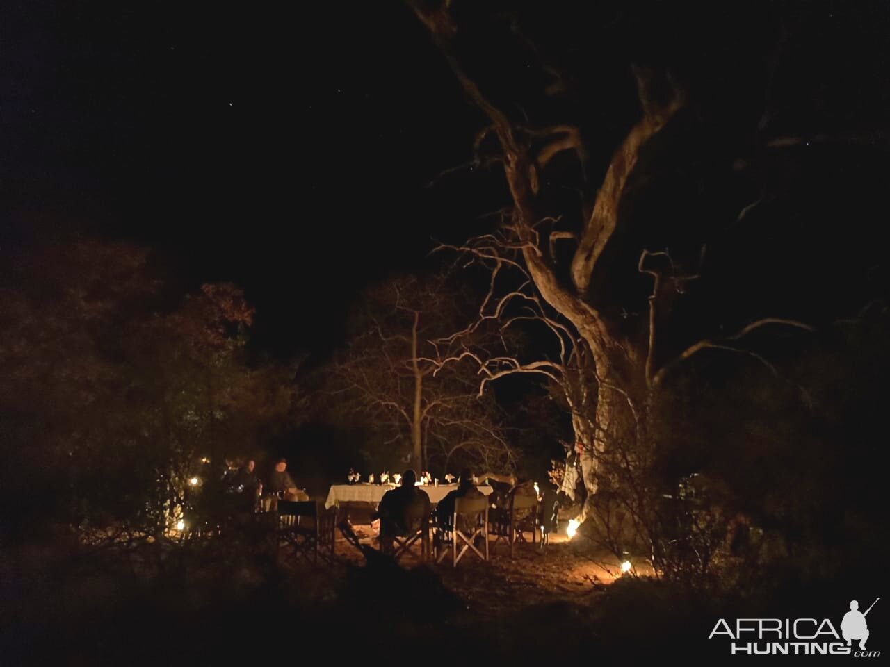 Dinner under the Night Sky